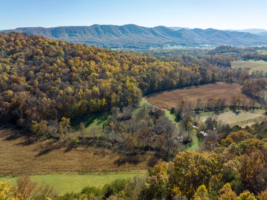 Photo #5: Tbd Treadway Trail