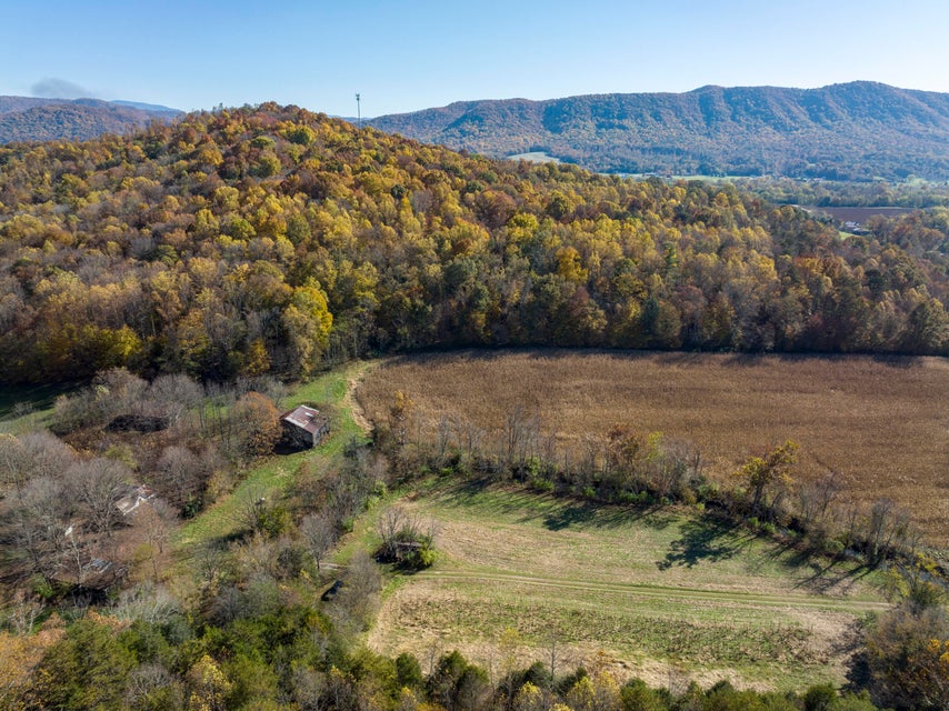 Photo #7: Tbd Treadway Trail