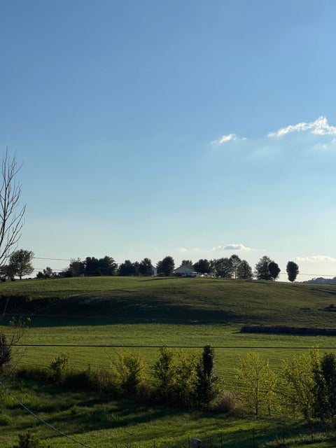 Photo #5: 226 Ebenezer Road