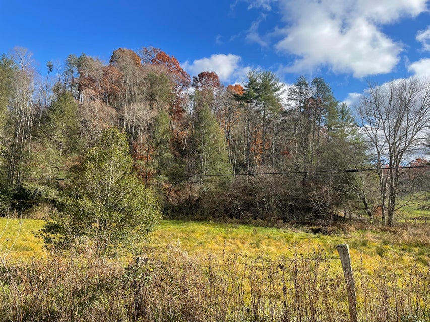 Photo #3: Tbd Piney Grove Road