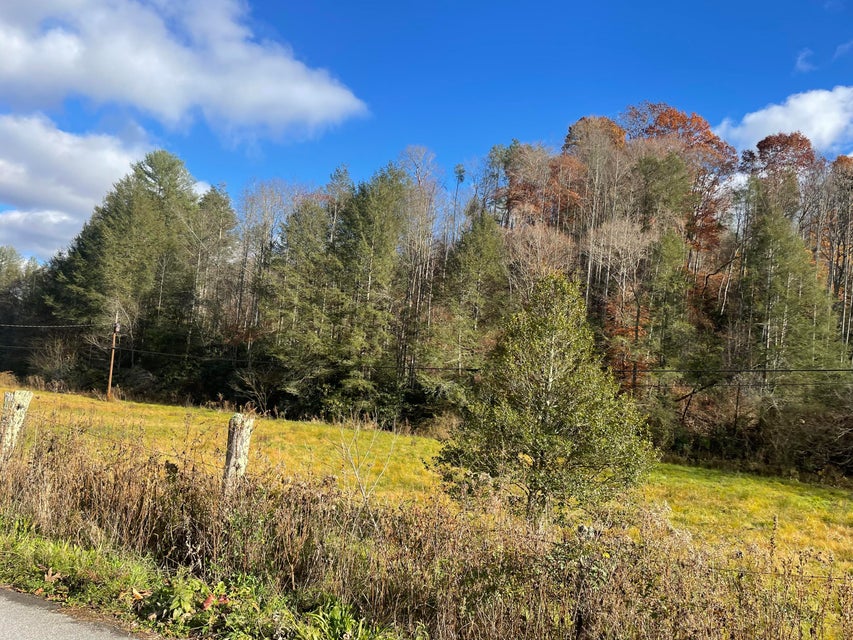 Photo #4: Tbd Piney Grove Road