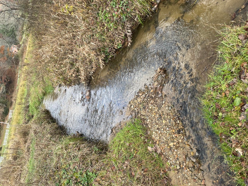 Photo #10: Tbd Piney Grove Road