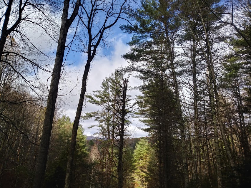 Photo #4: Lot 43 Laurelwood Drive