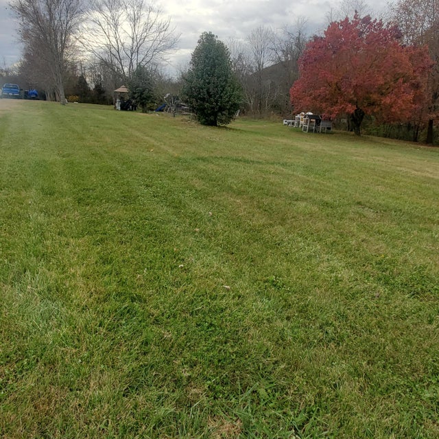 Photo #13: 458 Elizabethton Highway