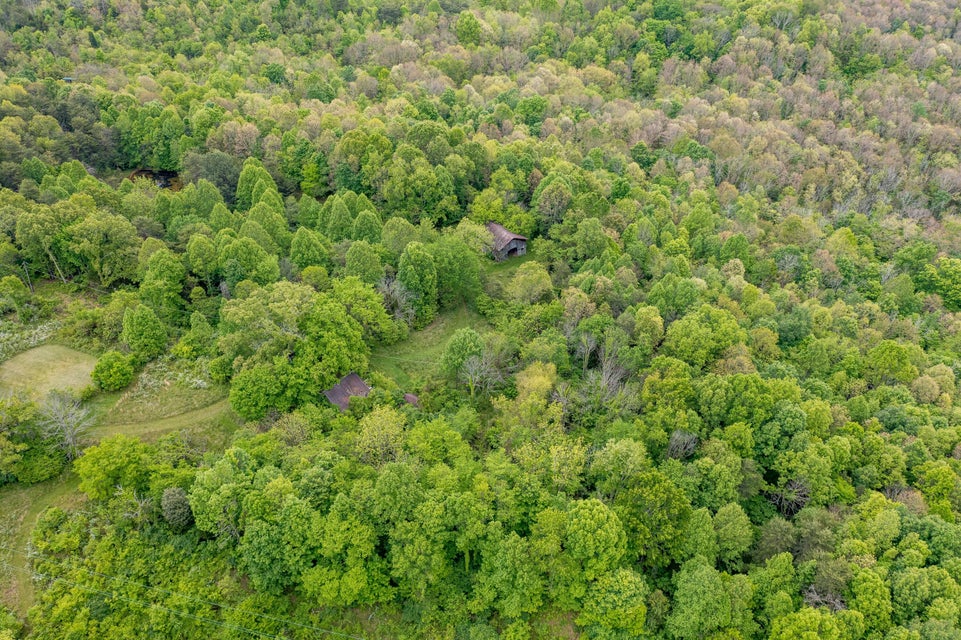 Photo #7: 395 Ridgeway Road