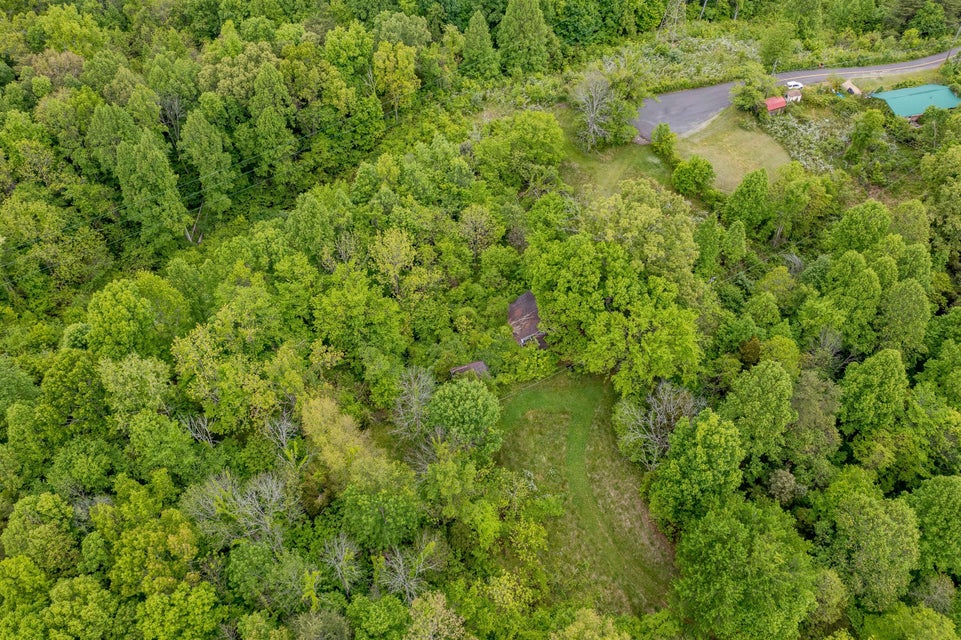 Photo #10: 395 Ridgeway Road