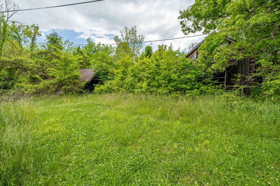 Photo #16: 395 Ridgeway Road