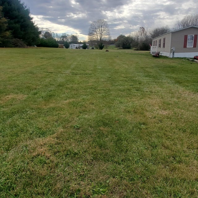 Photo #4: 458 Elizabethton Highway