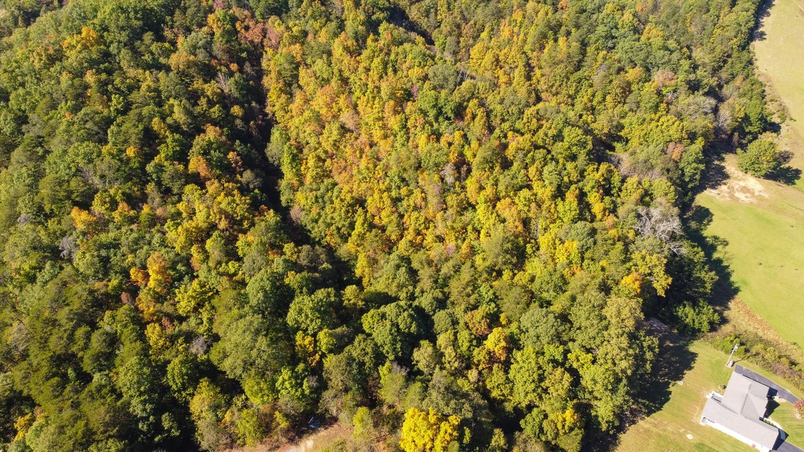 Photo #6: Tbd Fox Hollow Ln Lane