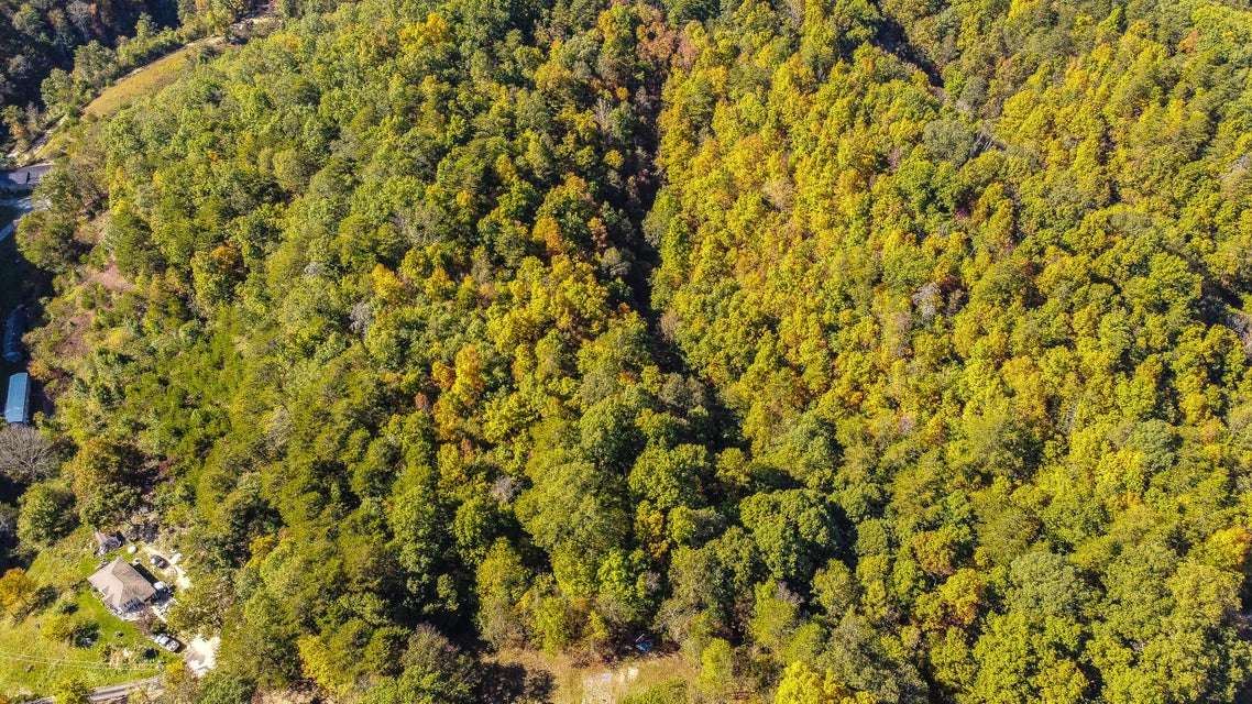 Photo #3: Tbd Fox Hollow Ln Lane