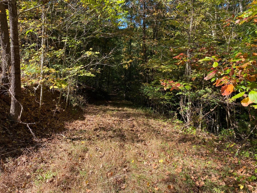 Photo #12: Tbd Fox Hollow Ln Lane