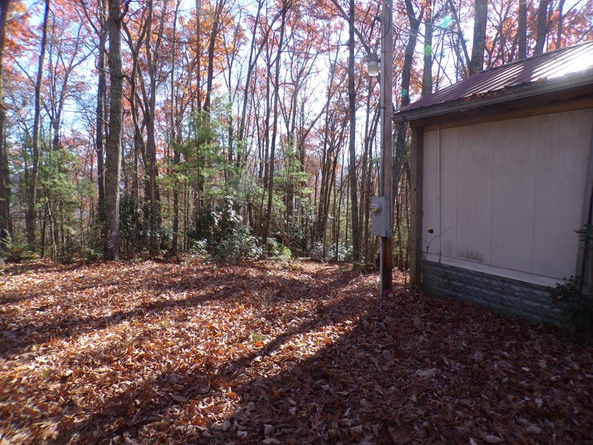 Photo #6: Tbd Mining Town Road