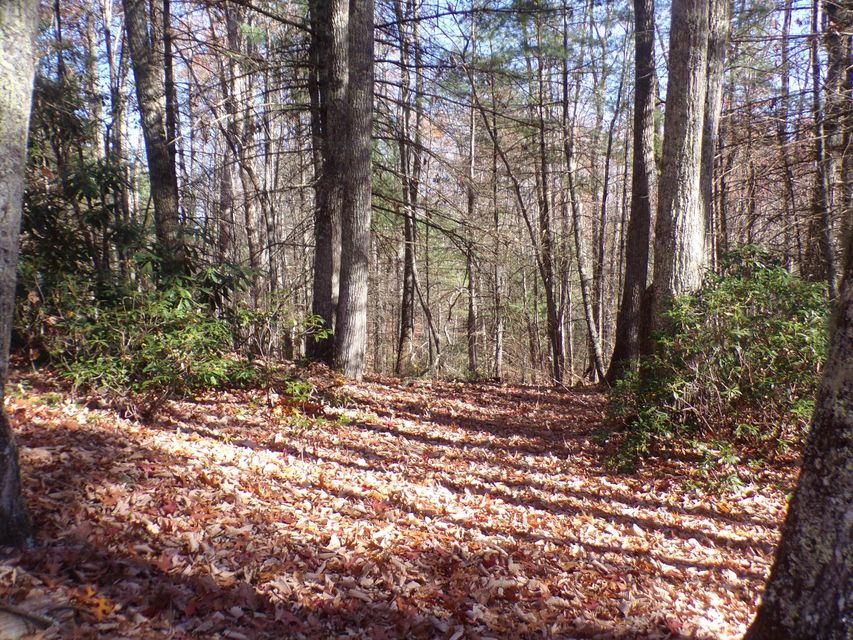 Photo #8: Tbd Mining Town Road