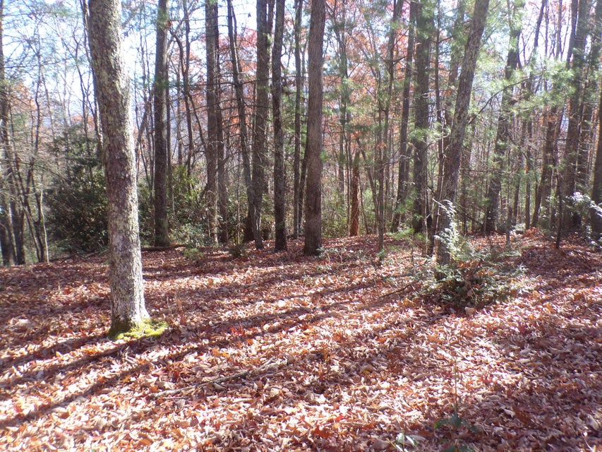Photo #9: Tbd Mining Town Road