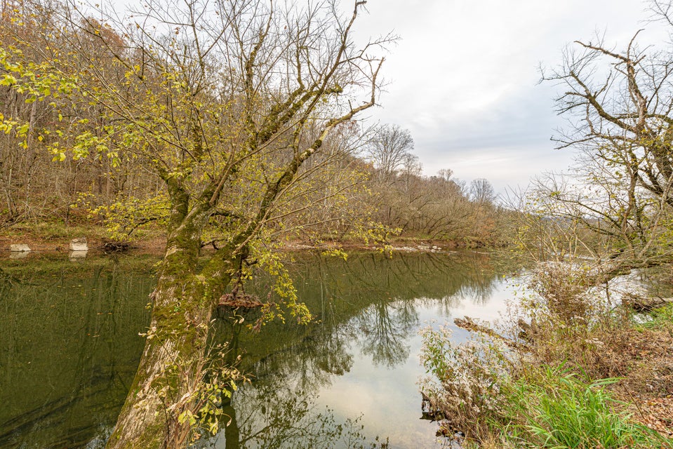 Photo #33: 1750 Clinch River Highway