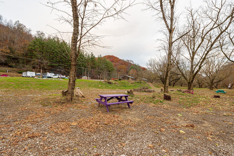 Photo #34: 1750 Clinch River Highway