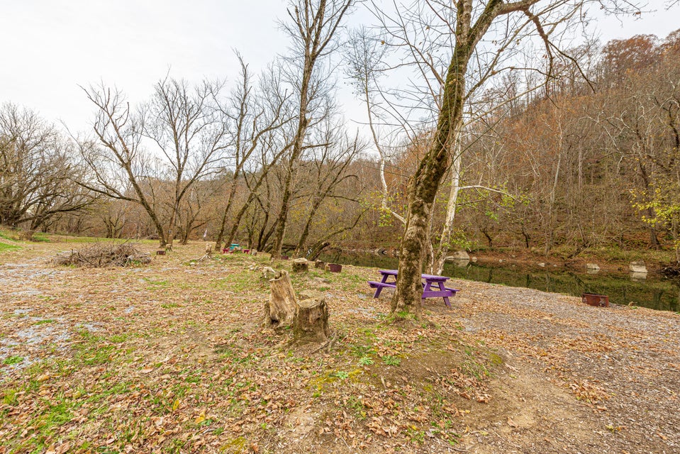 Photo #35: 1750 Clinch River Highway