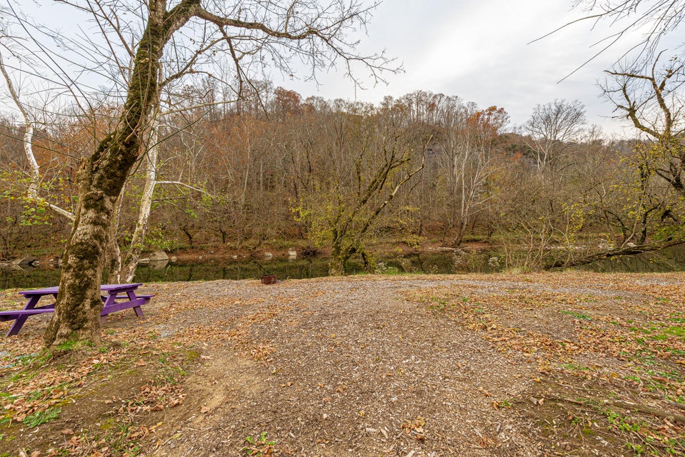 Photo #36: 1750 Clinch River Highway