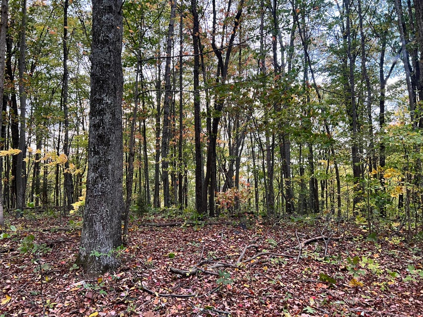 Photo #6: Tbd Grassy Creek Rd