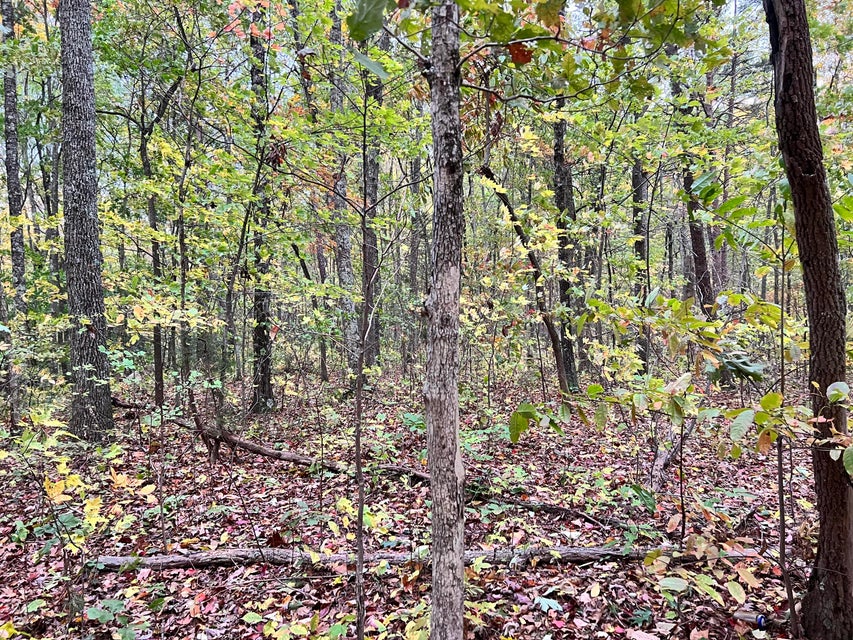 Photo #7: Tbd Grassy Creek Rd