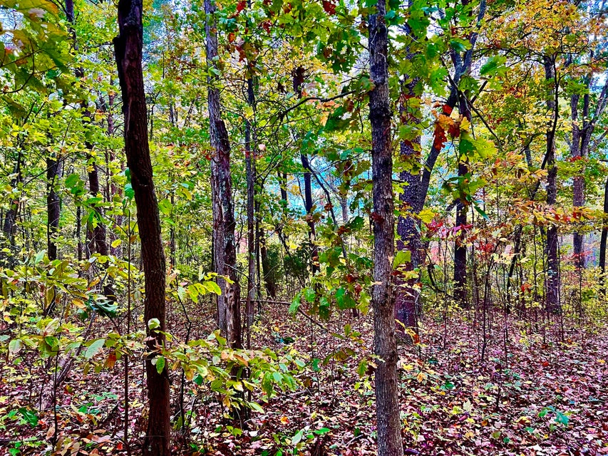 Photo #8: Tbd Grassy Creek Rd