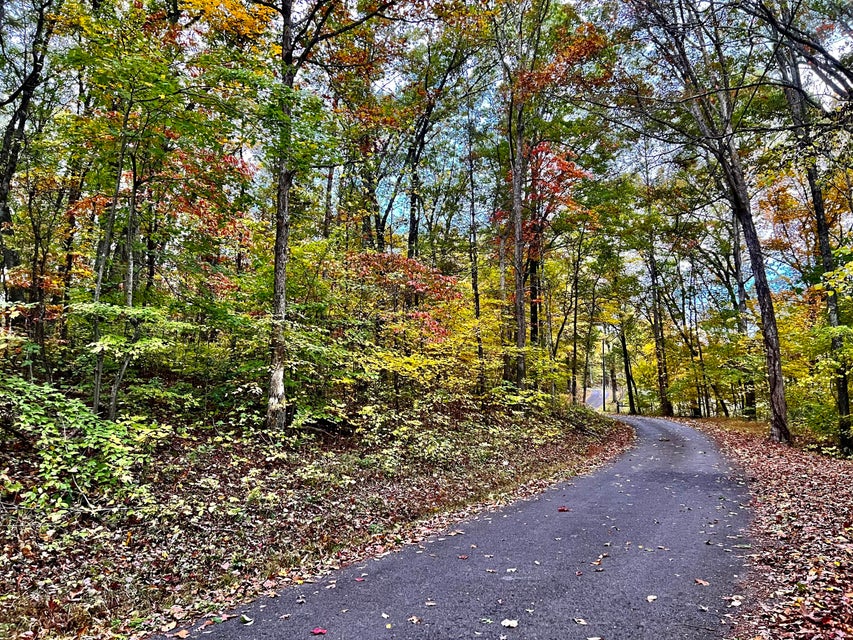 Photo #21: Tbd Grassy Creek Rd
