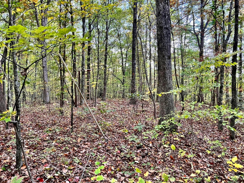 Photo #23: Tbd Grassy Creek Rd