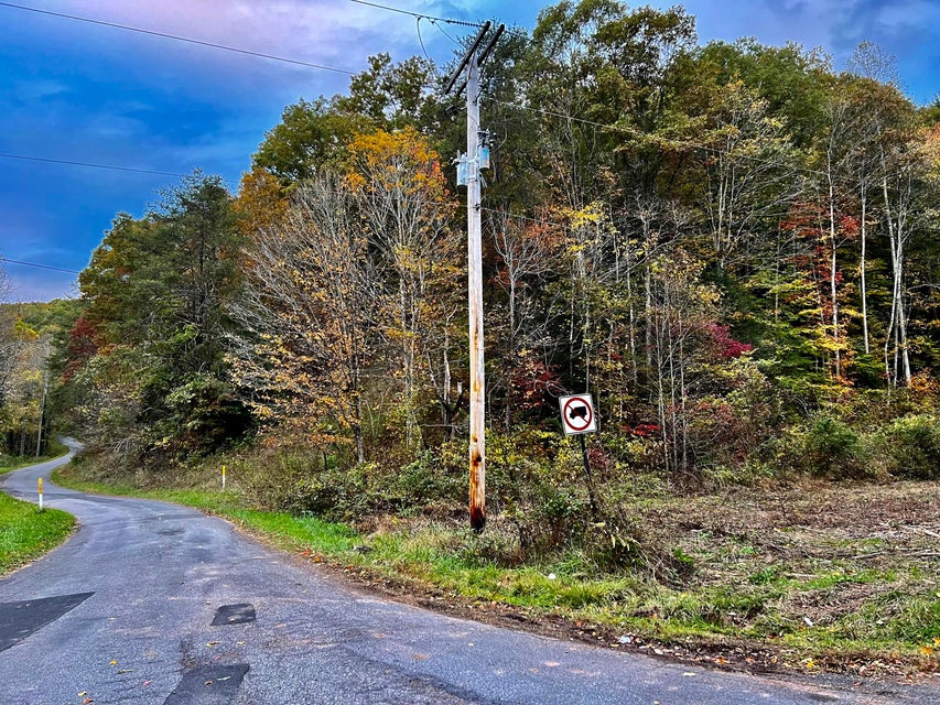 Photo #32: Tbd Grassy Creek Rd