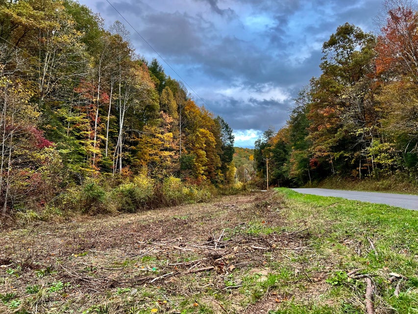 Photo #33: Tbd Grassy Creek Rd