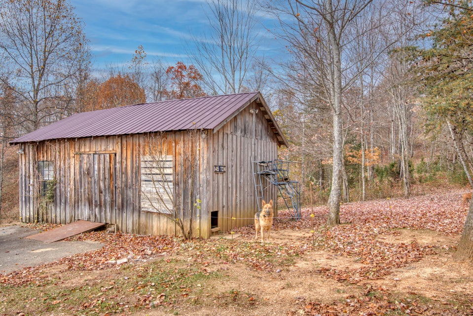 Photo #3: 18348 Buffalo Pond Rd Road