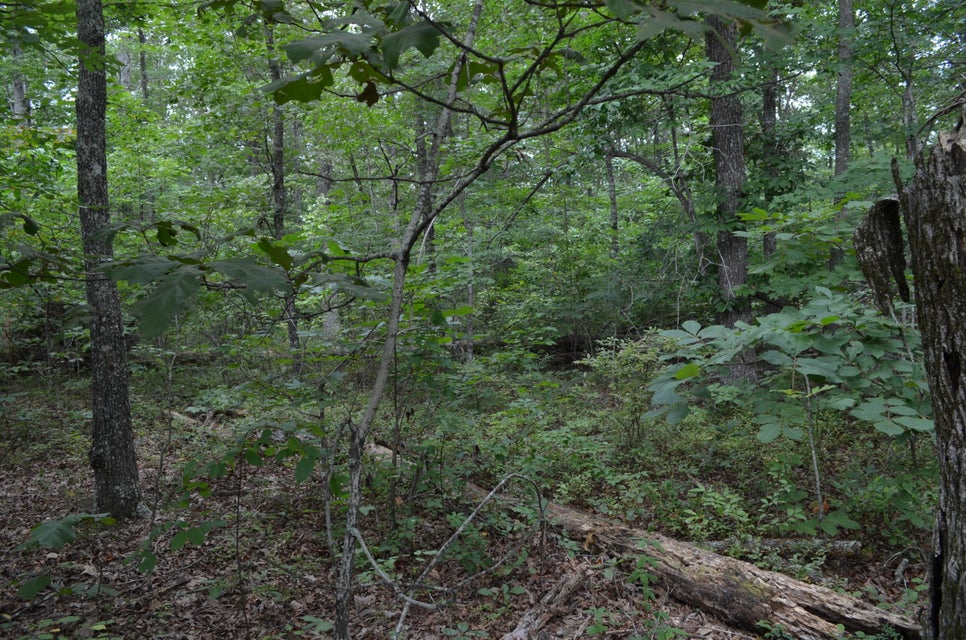 Photo #2: 421 Blackfoot Drive