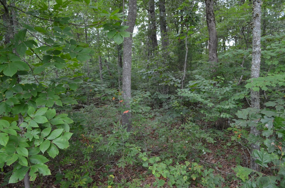 Photo #4: 421 Blackfoot Drive