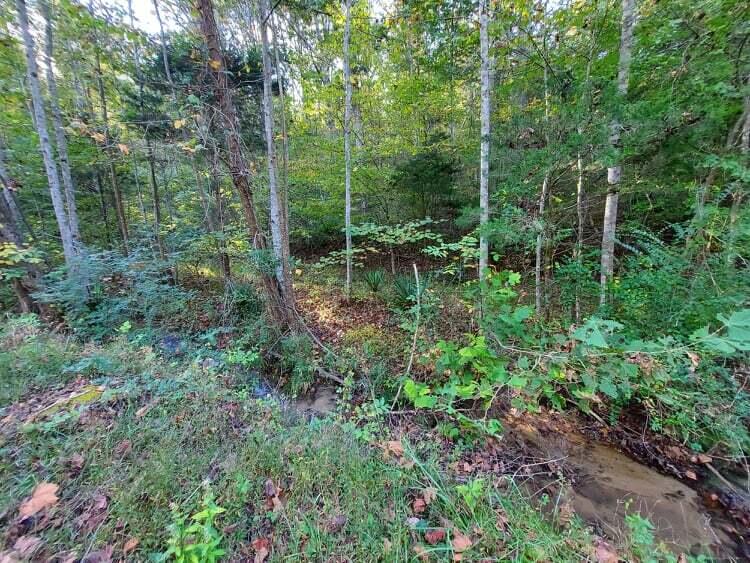 Photo #6: 30 Acres Gunter Corner Road
