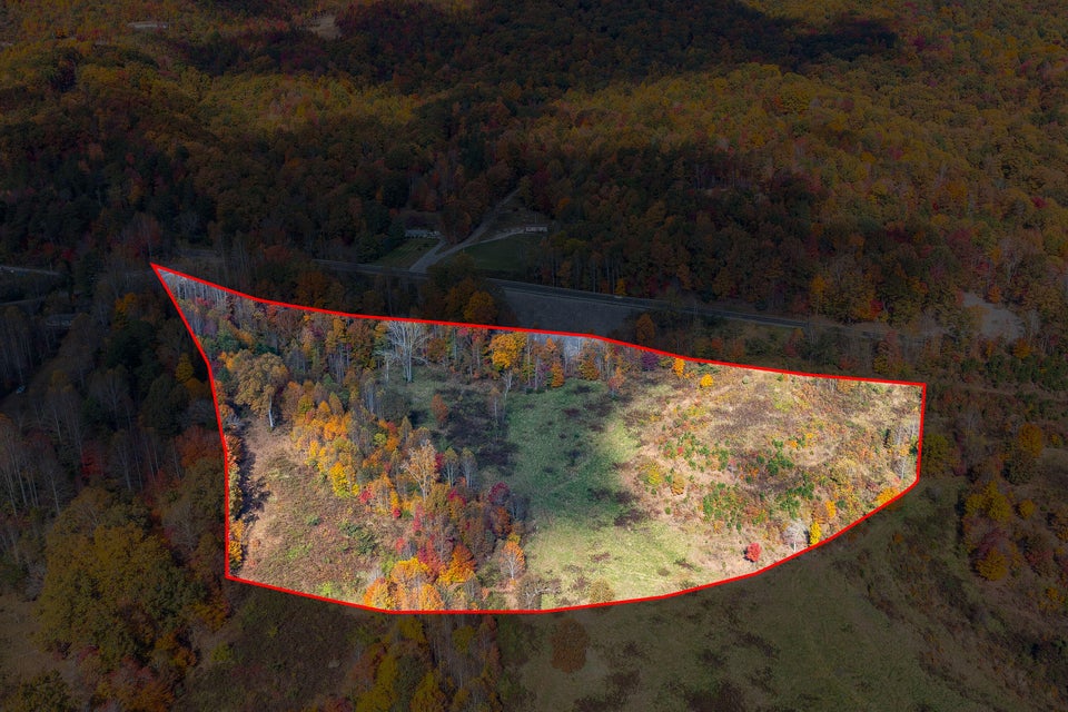 Photo #2: Tbd Duff Patt Highway