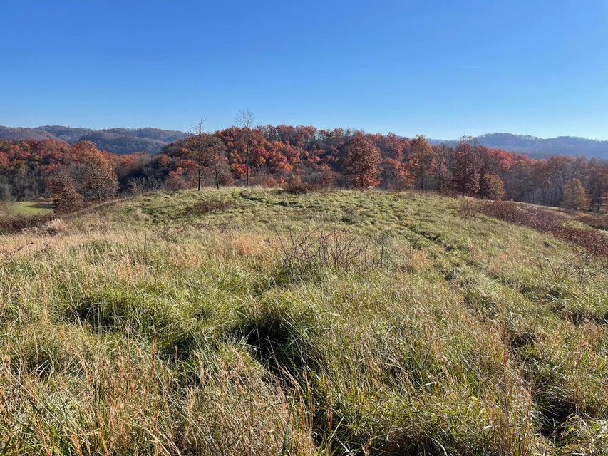 Photo #8: Tbd Duff Patt Highway
