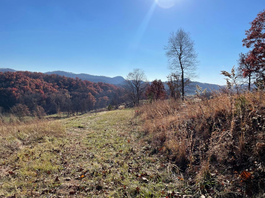 Photo #9: Tbd Duff Patt Highway