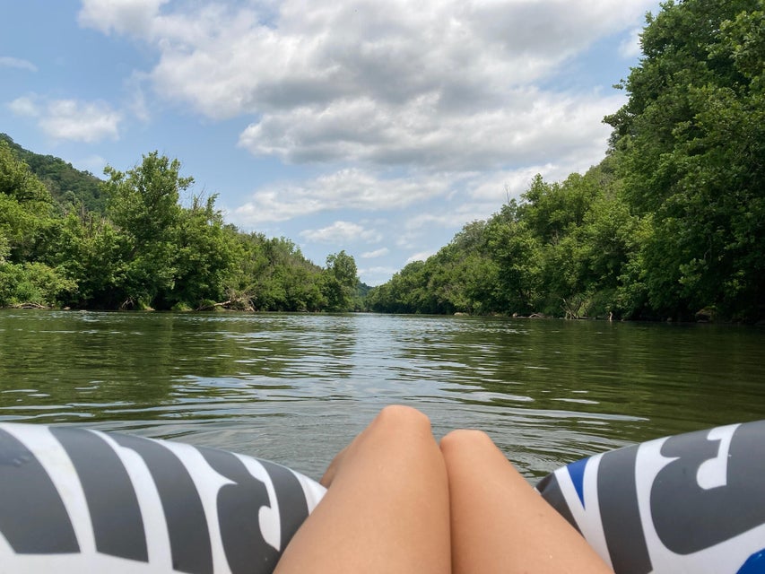 Photo #19: 1750 Clinch River Highway
