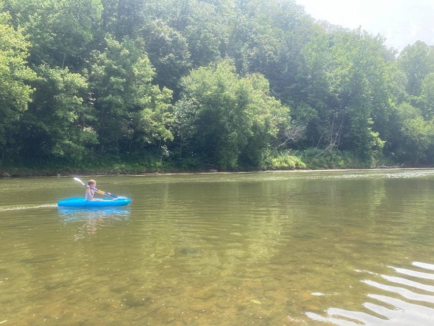 Photo #4: 1750 Clinch River Highway