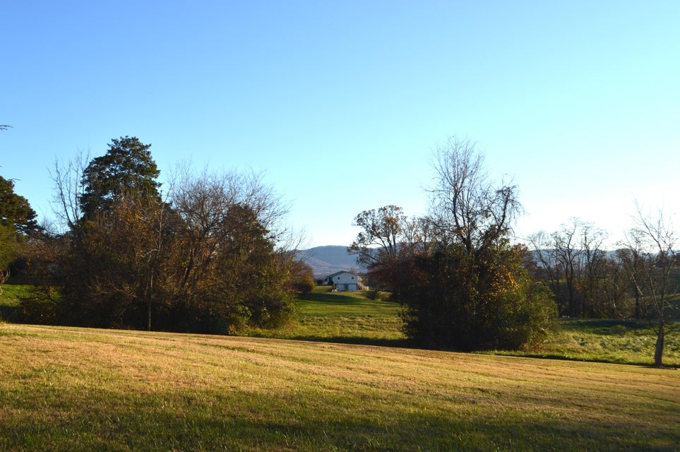 Photo #7: 169 West Allens Bridge Road