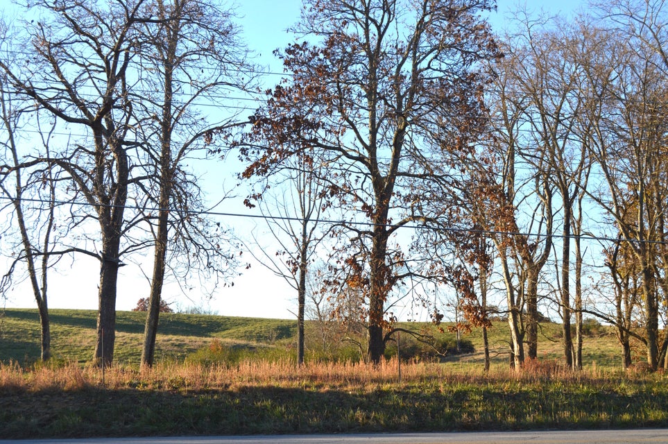 Photo #13: 169 West Allens Bridge Road