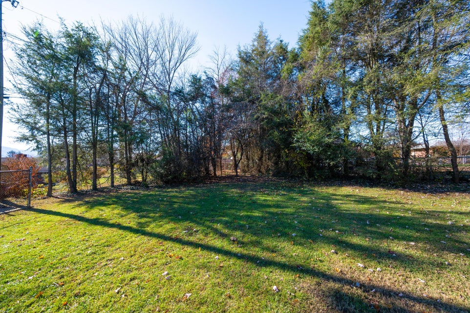 Photo #39: 824 Fairmont Avenue