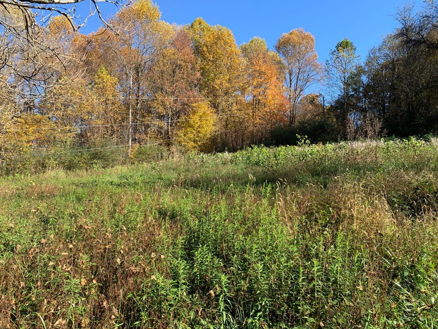 Photo #35: 6120 Old Stage Road