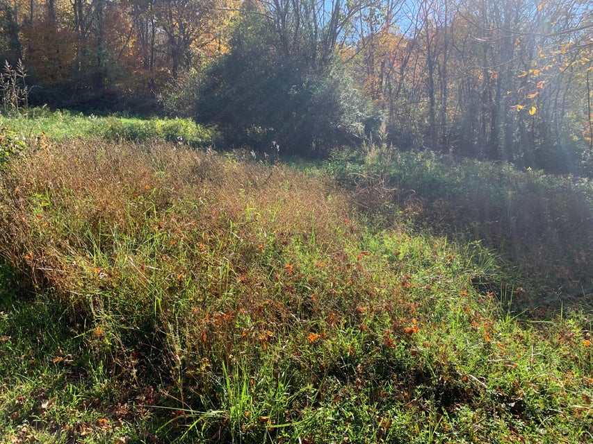 Photo #36: 6120 Old Stage Road