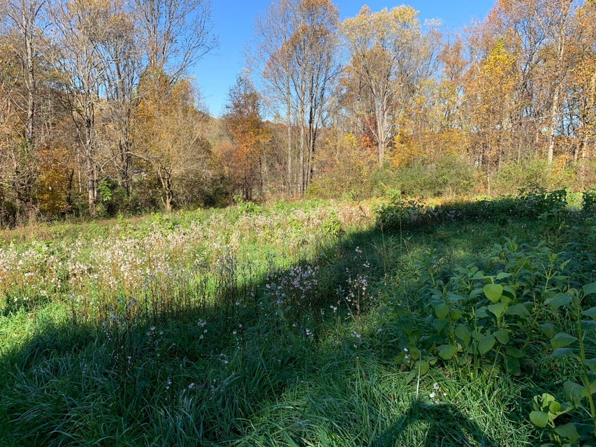 Photo #38: 6120 Old Stage Road
