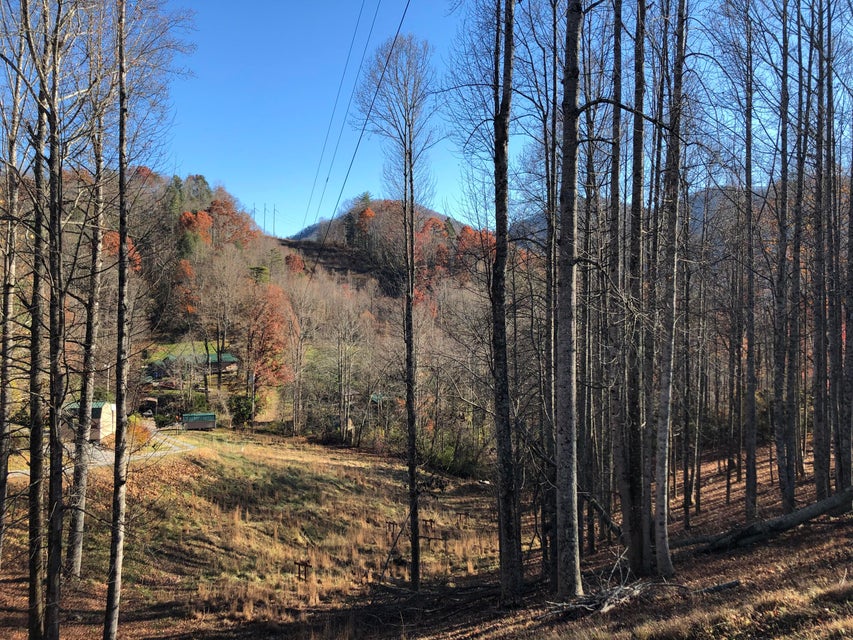 Photo #2: 155 Stout Hollow Road