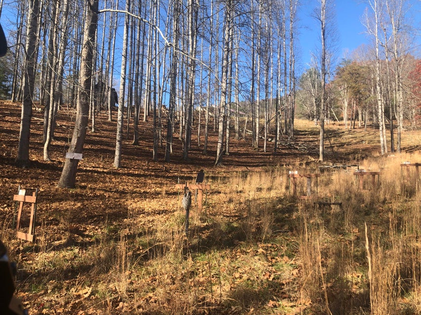 Photo #25: 155 Stout Hollow Road