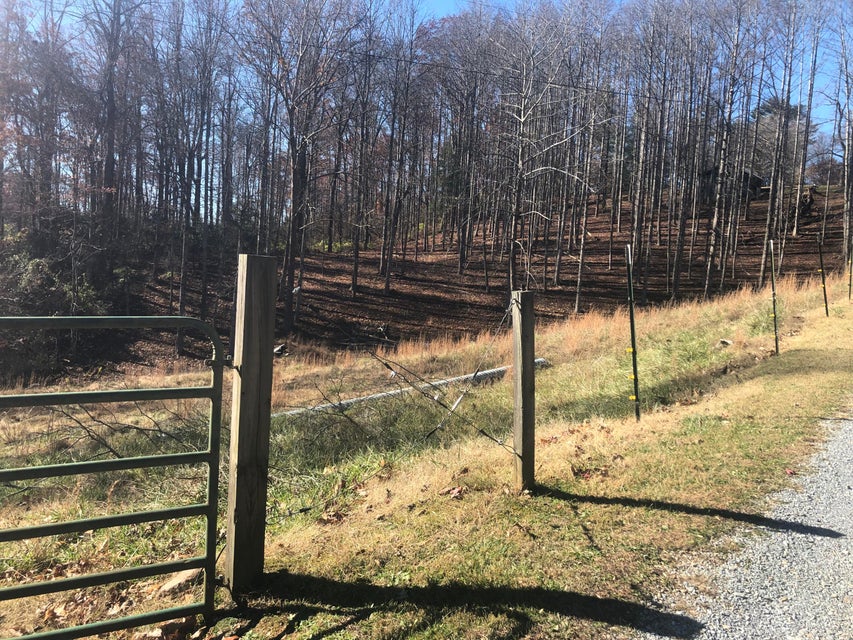Photo #27: 155 Stout Hollow Road