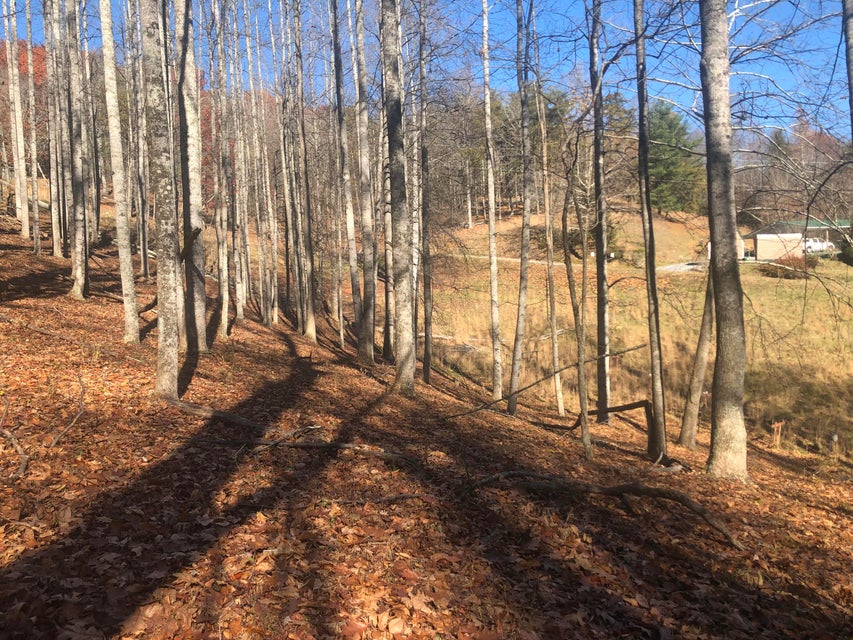 Photo #33: 155 Stout Hollow Road