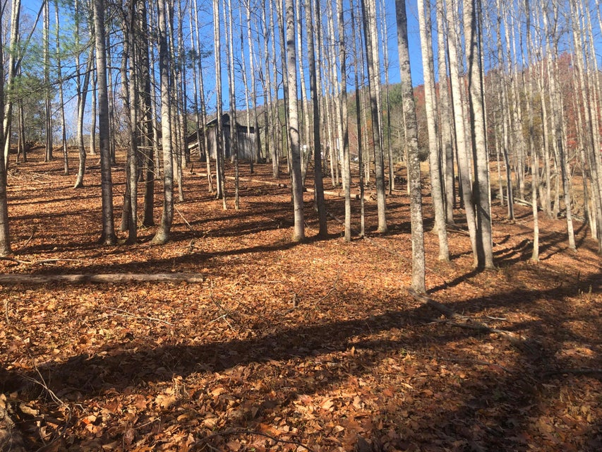 Photo #34: 155 Stout Hollow Road