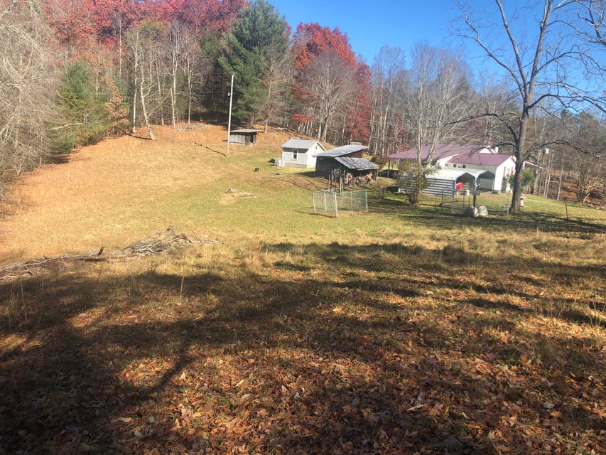 Photo #41: 155 Stout Hollow Road